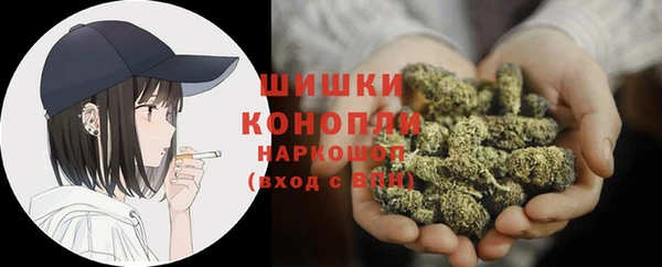 альфа пвп Медвежьегорск