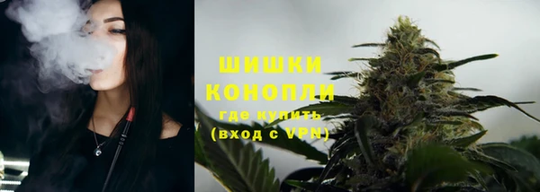 гидра Мегион
