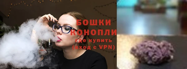 гидра Мегион