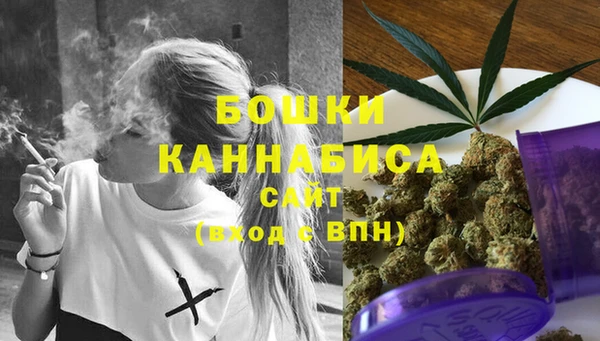 альфа пвп Медвежьегорск
