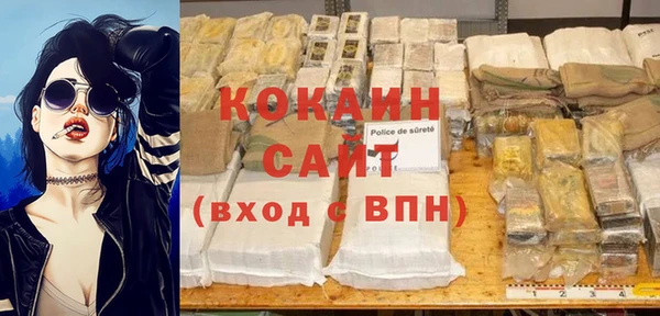 гидра Мегион