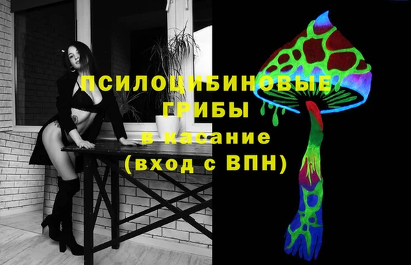 ешки Михайлов