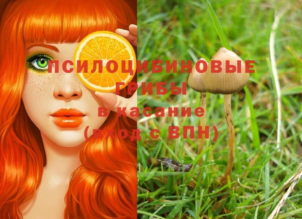альфа пвп Медвежьегорск