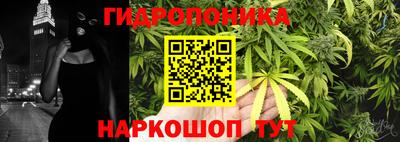 jwh Будённовск