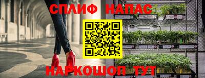 PSILOCYBIN Бузулук