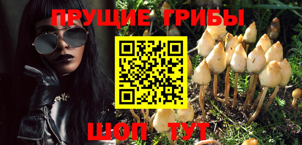 Галлюциногенные грибы GOLDEN TEACHER  Егорьевск 